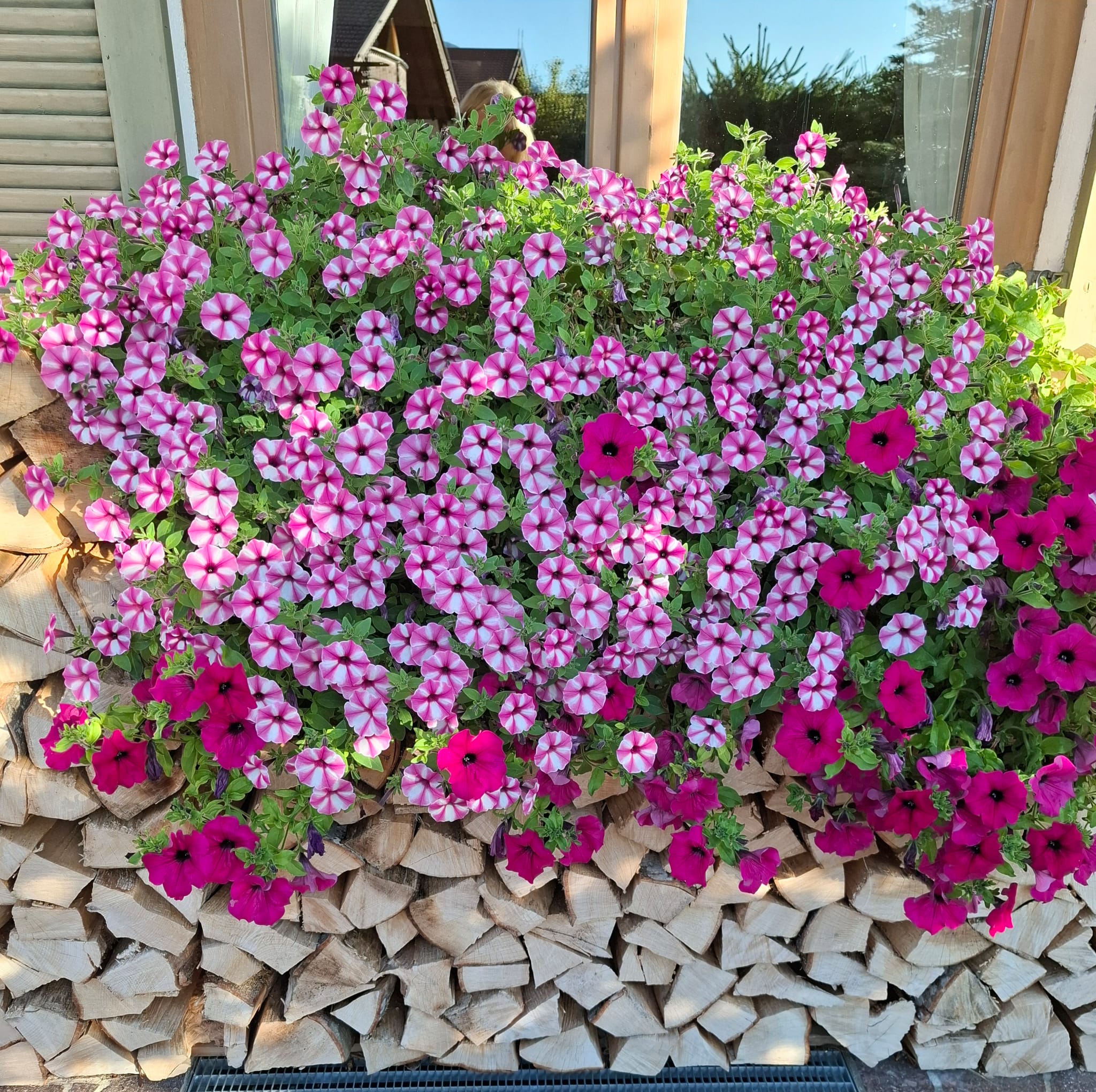 WhatsApp Image 2025-12-18 at 13.33.28 3